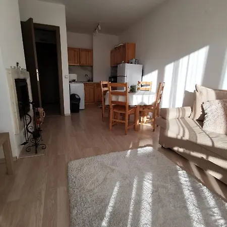Miro's Family -close To The Woods, Mountain View